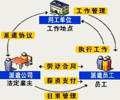 上海勞務(wù)派遣與企業(yè)管理咨詢服務(wù) 優(yōu)選伙伴與五險一金合規(guī)指南